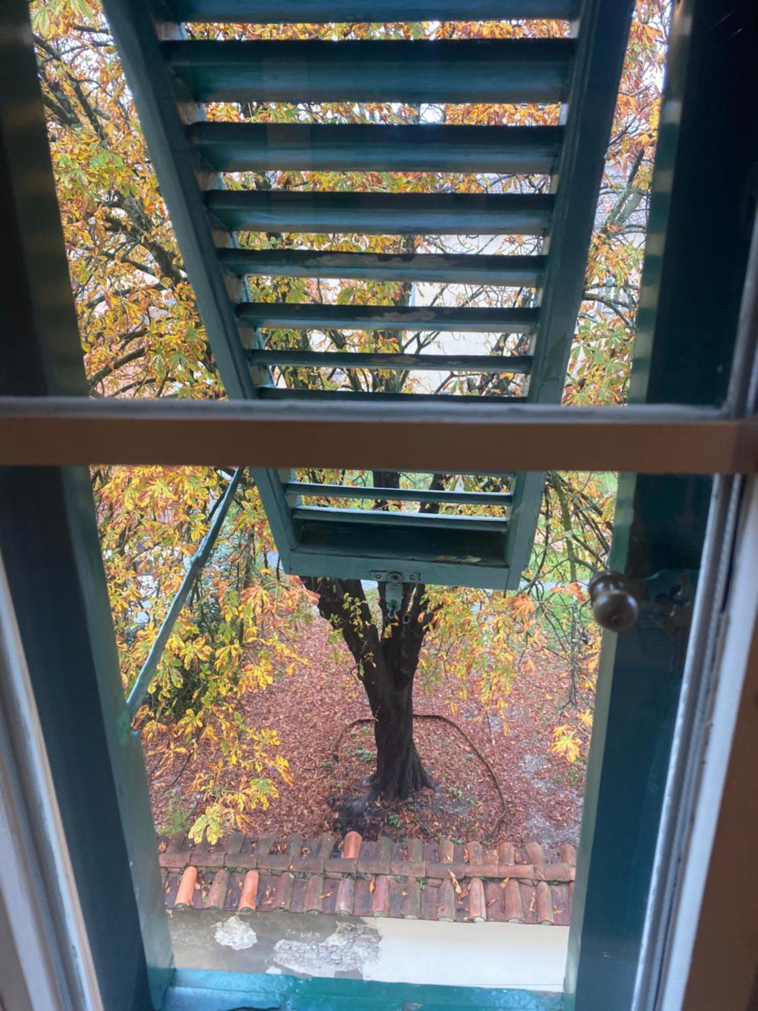 Apartmán Casa Amorino Lucca Exteriér fotografie